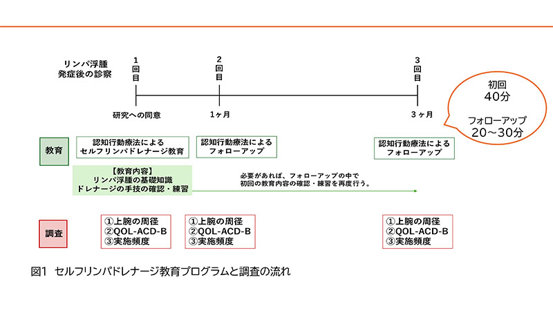 学部生の研究紹介