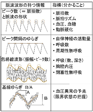 脈波センサ(容積脈波).JPG