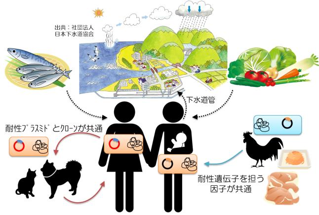 包括的研究.JPG