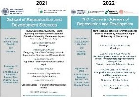 過去4年間のフライヤー