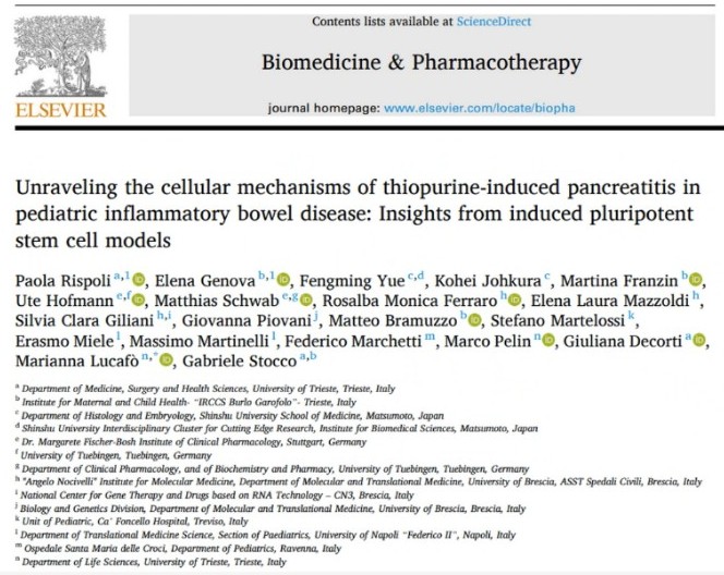 トリエステ大学の学生が信州大学で行った研究の成果が論文になりました！