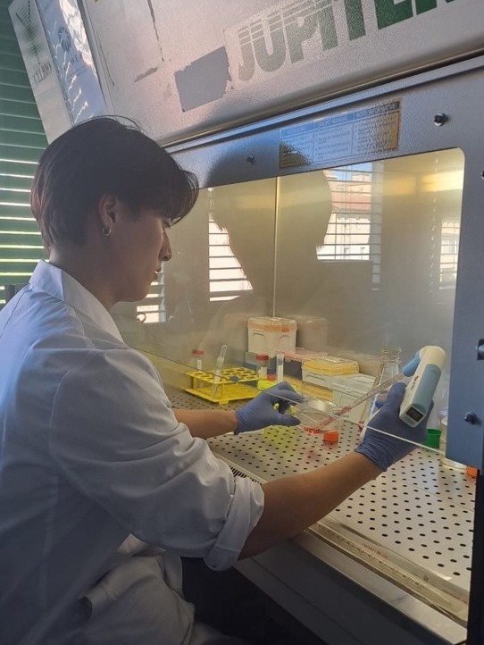 研究の風景（細胞の培地交換）