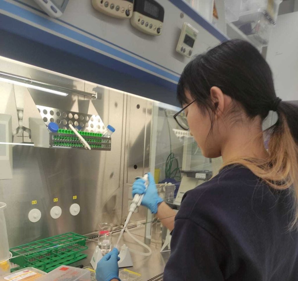 2025年 秋・ドイツ 「ドイツ留学報告」（基礎研究）