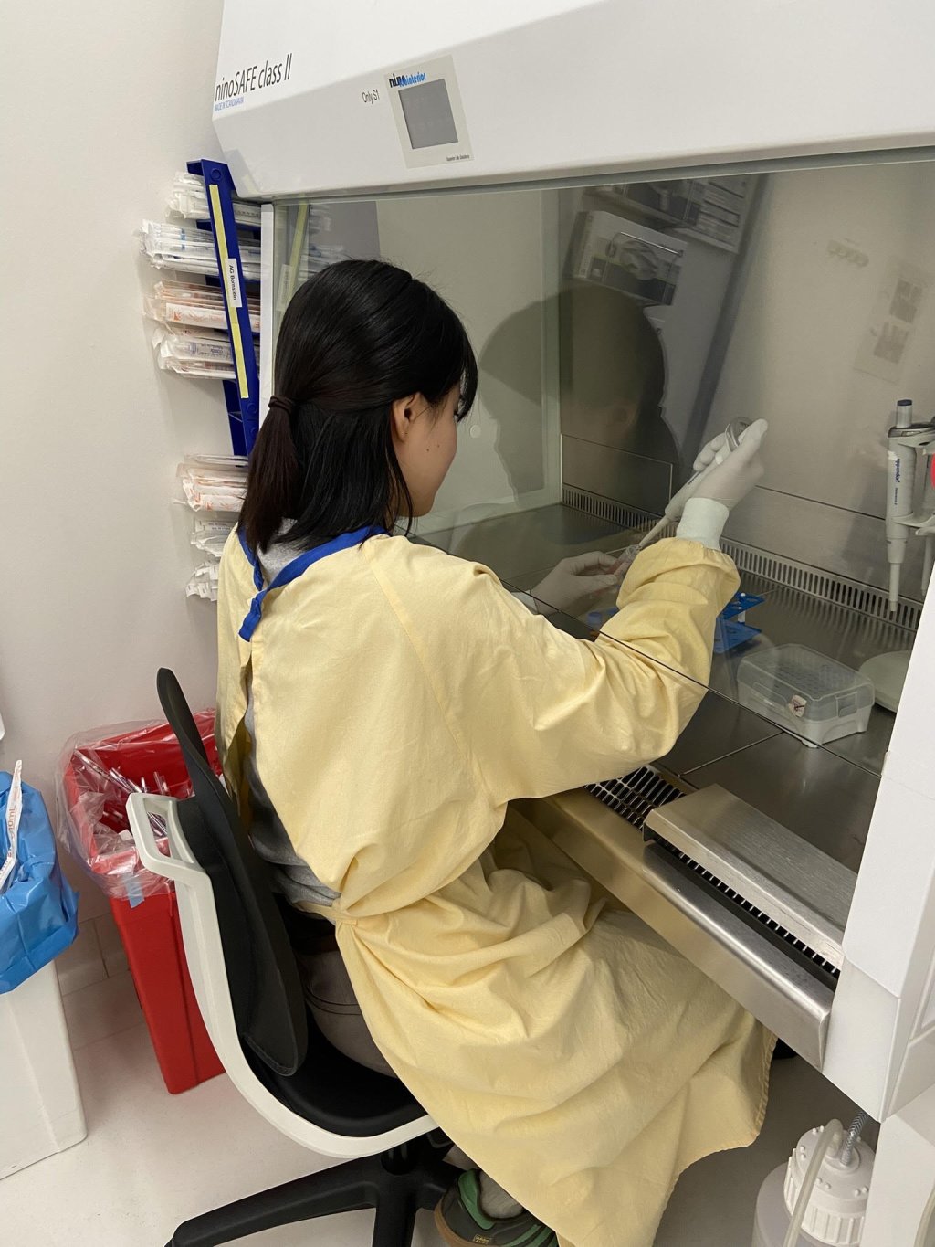クリーンベンチで実験中