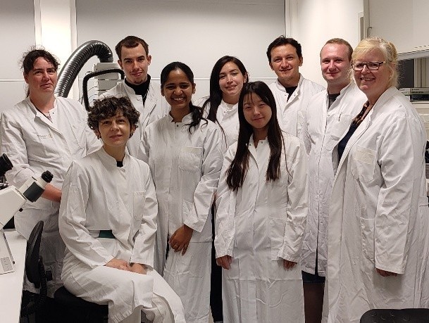 2025年 秋・ドイツ 「ドレスデンでの充実した3か月」（基礎研究）