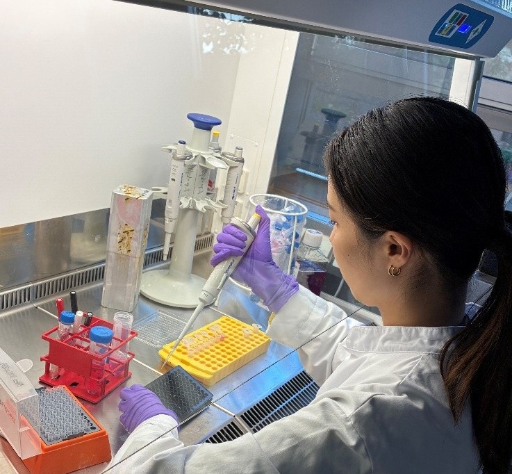 2025年 秋・ドイツ 「学びに満ちたドレスデンでの三か月」（基礎研究）