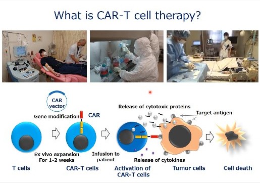 バイオメディカル研究所との共催により、2025年もイタリア・トリエステ大学とPhD courseを開催しました