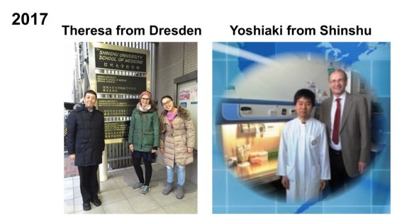 ドレスデン工科大学医学部との交流10周年を記念して―第41回国際交流セミナー・リユニオンを開催しました