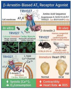 Visual Abstract