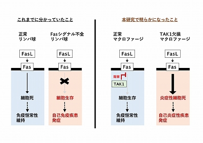 山条准教授