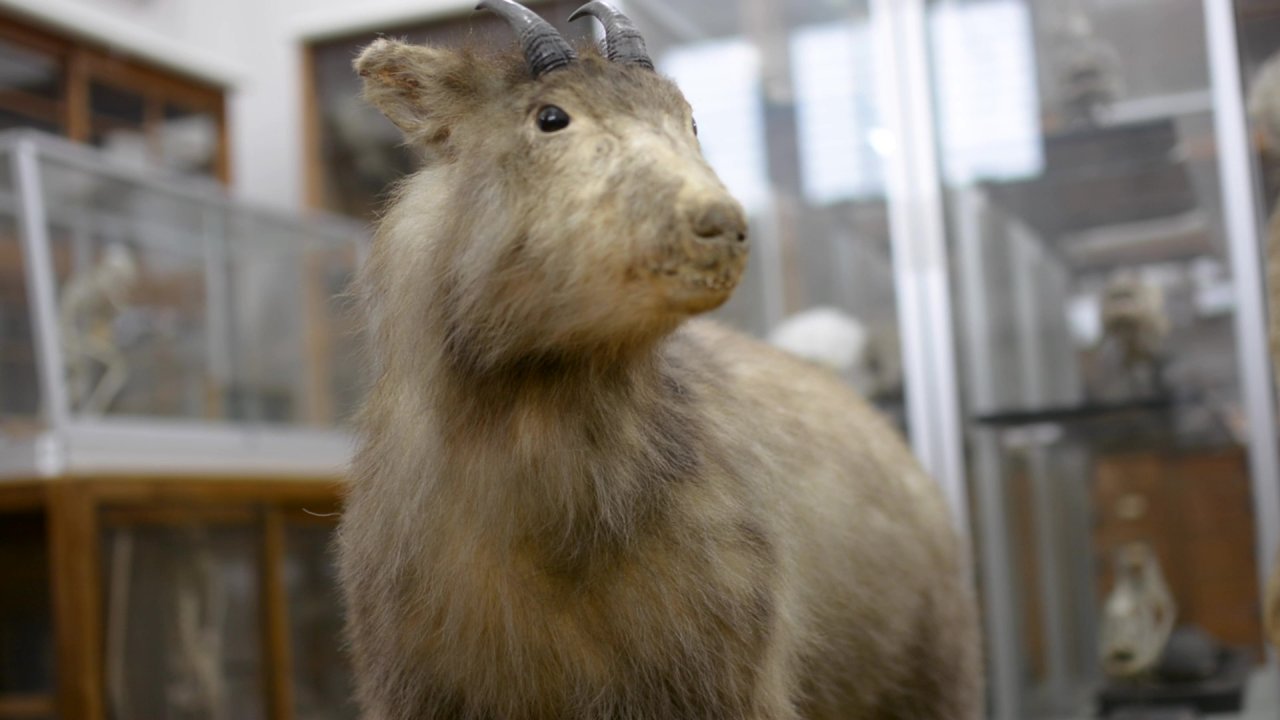 Explore our museum virtually with our VR Tour.
