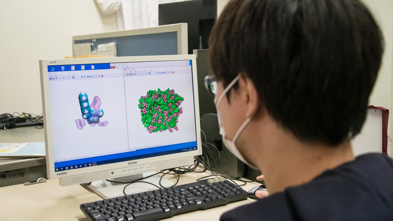 研究分野紹介_物理化学分野