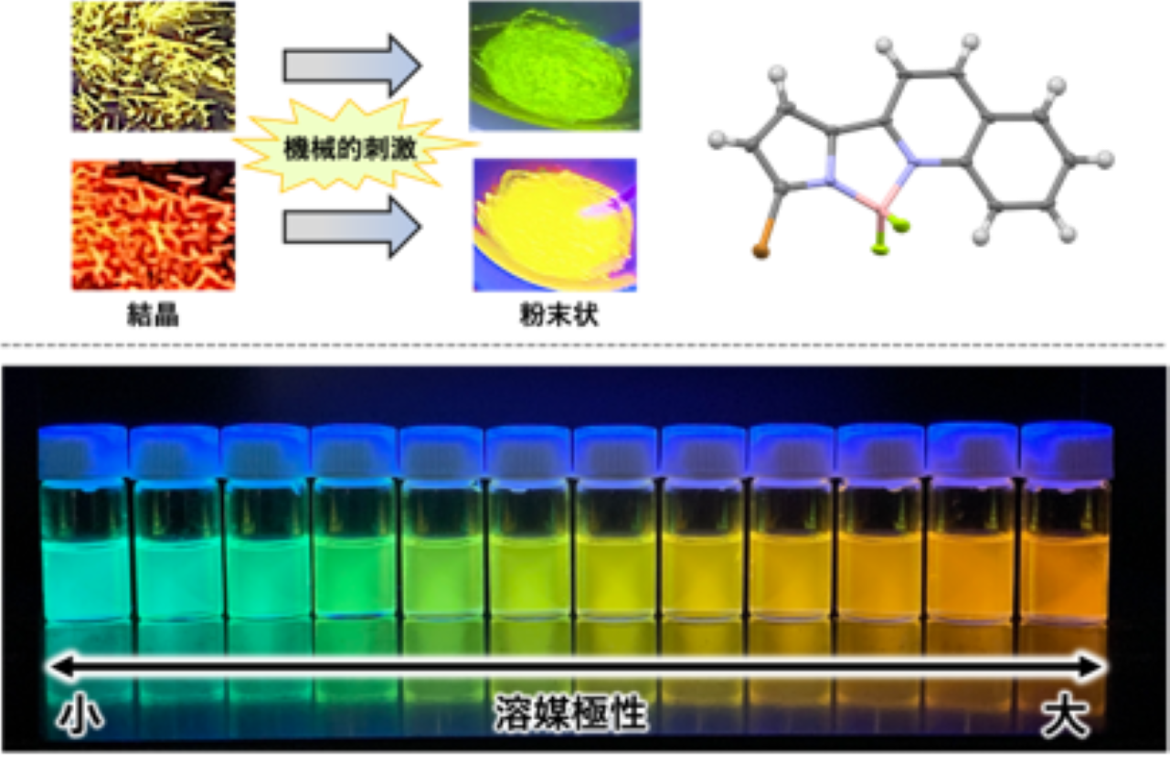 受験生向け研究紹介_中野