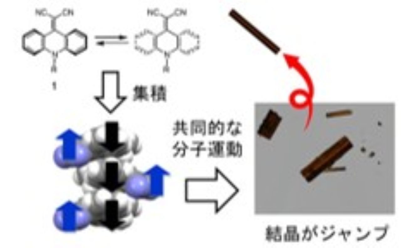 受験生向け研究紹介_武田