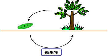 一握りの土の中にも無限の世界 理学クエスト ようこそ 探求の世界へ 信州大学 理学部