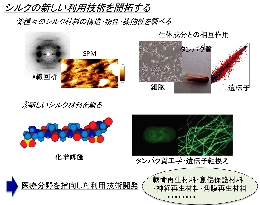 研究紹介_玉田-2.jpg