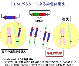 130711ベクター堀江編集-1.jpg