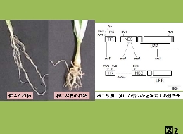 HP用（林田）_堀江編集-2.jpg