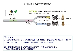 課程 HP 研究紹介_2013_塩見-1.jpg