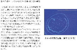 ホームページ素材（白井）-2.jpg