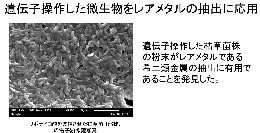 研究室紹介(森脇）-1.jpg