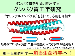 課程HPスライド新井研-2.jpg