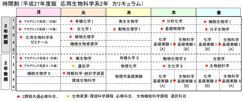 H27-2nenn.jpg