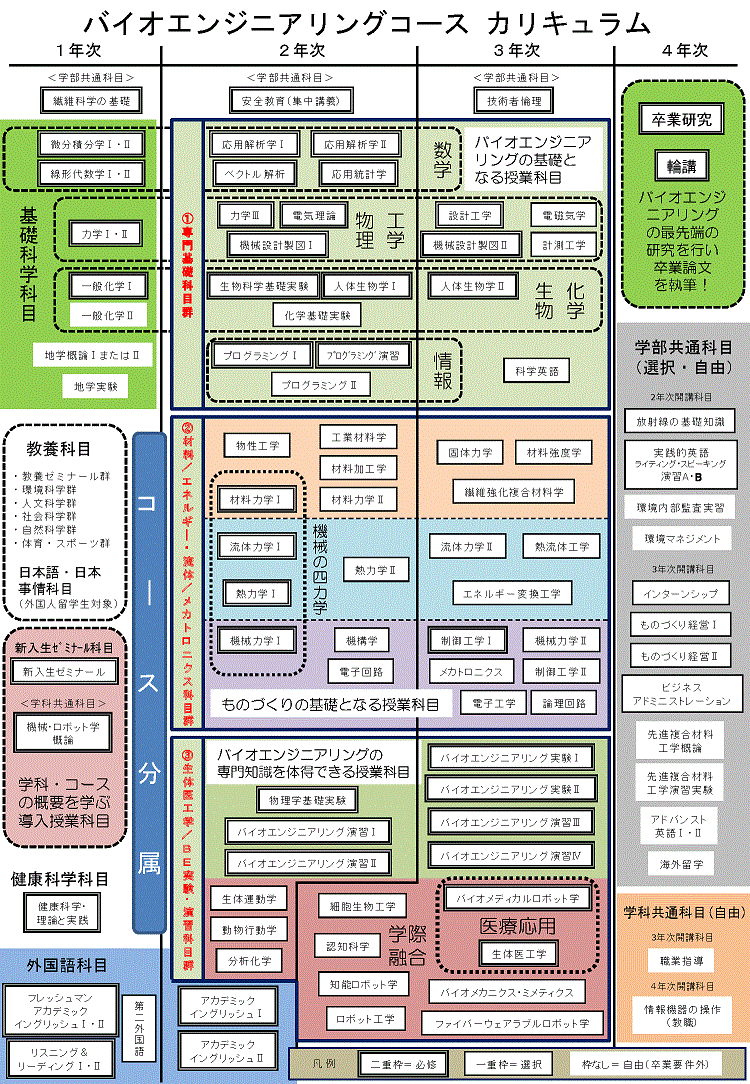 バイオエンジニアリングコース の カリキュラム