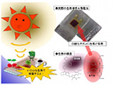 色素増感太陽電池の作製と解析