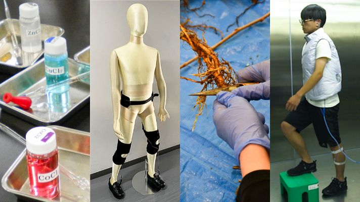 理・工・農・医+α、幅広い分野を横断した学びを展開