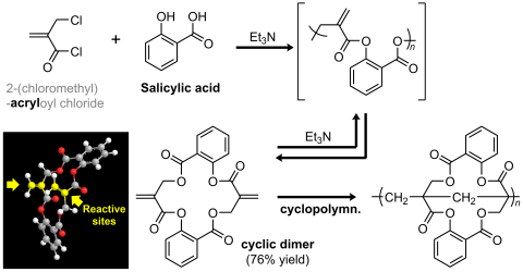 化学・材料学科　髙坂泰弘准教授がPolymer Chemistry誌のPioneering Investigators 2025に選出
