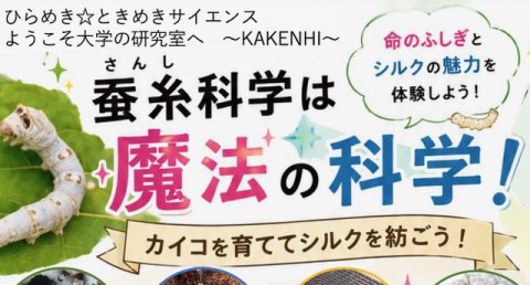 【7月25日（土）開催・高校生対象】ひらめき☆ときめきサイエンス2026～ようこそ大学の研究室へ～KAKENHI「蚕糸科学は魔法の科学！カイコを育ててシルクを紡ぐ！」を開催します