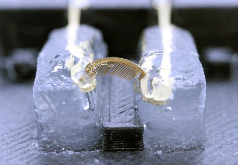 照月研究室の「保水ゲル電極」研究と学生の活躍が信濃毎日新聞に掲載