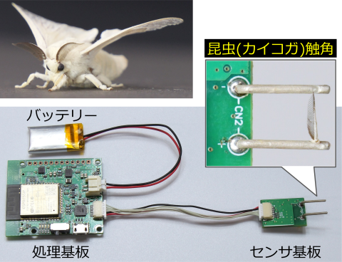 昆虫触角を搭載したバイオハイブリッドドローンによって匂いの発生源を探し出す