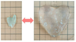 超分子相互作用を駆使し、サスティナブル材料を創る