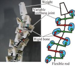 柔軟な線形状の機構で様々な用途の実現を目指す