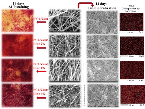 Fiber Fusion: Transforming Healthcare, Food Safety, and Filtration (繊維の融合: 医療、食品安全、ろ過の変革)