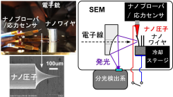 高配向・高密度配列によって半導体ナノ結晶の性質を生かした革新的デバイスを創出する。