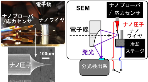 高配向・高密度配列によって半導体ナノ結晶の性質を生かした革新的デバイスを創出する。