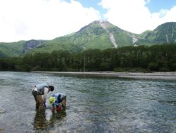 ヒトの健康と水環境の保全に関する研究　生物指標を用いた水環境変動の解析
