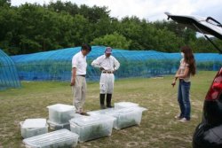 蚕・野蚕の遺伝資源を保存し、シルク産業の復興と国産生糸のブランド化に利用します