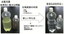 環境分析から環境を知り、生物の作る材料を利用した新しい環境浄化法を開発する！