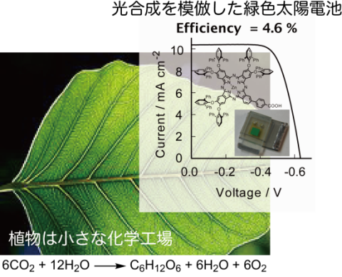ナノテクで拓く機能性材料。生物構造の模倣による新しい機能発現