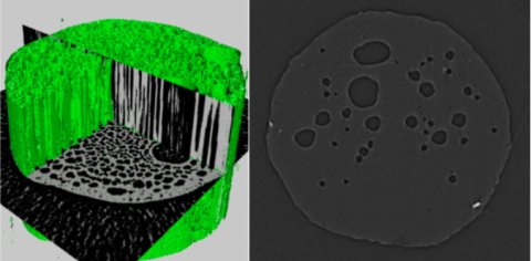 「人間」と「環境」に対して、無害で安全に使用可能な材料開発を目指すエコラボ！