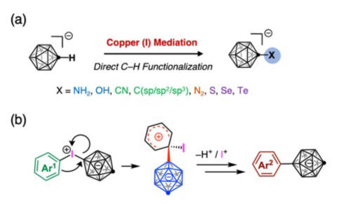 アニオン設計を基軸とした機能性分子とバイオマテリアルの創出