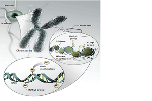 Biotechnology Division