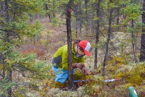 Environmental Symbiosis Science Division