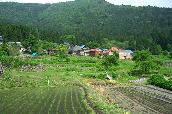 環境共生学分野