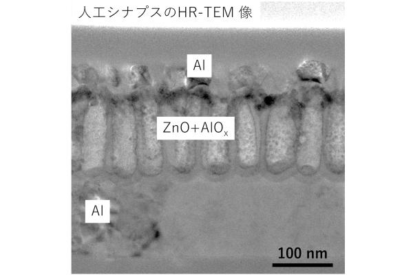 電気電子工学分野