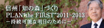 PLAN the FIRST 2011-2013